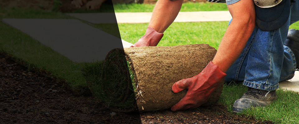 Creamery Landscapers